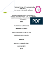 Emerson_Tesis_Titulo_2014.pdf