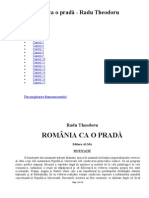 Radu Theodoru - România ca o pradă