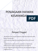 Penjagaan Haiwan Kesayangan