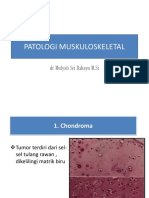 Patologi Anatomi Muskuloskeletal 