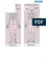 Bone Tumor