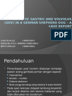 Pathologic of Gastric and Volvulus (GDV)