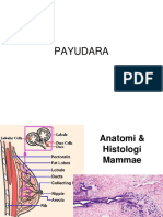 Dr. Kid - Patologi Anatomi Payudara