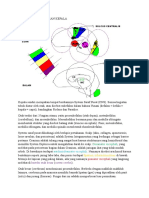 Neuroanatomi Bagian Kepala