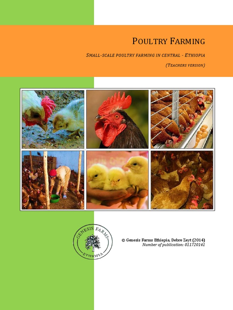 Poultry Farming SmallScale Poultry Farm PDF PDF Chicken Skeleton