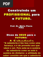 Palestra Construindo Um Profissional Para o Futuro