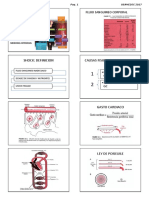 RCP Completo 2017 Alumno PDF