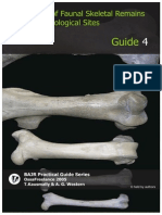 Animal Bones in Archaeology