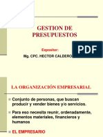 PRESUPUESTOS.ppt