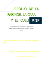 faringe_cara_05.doc