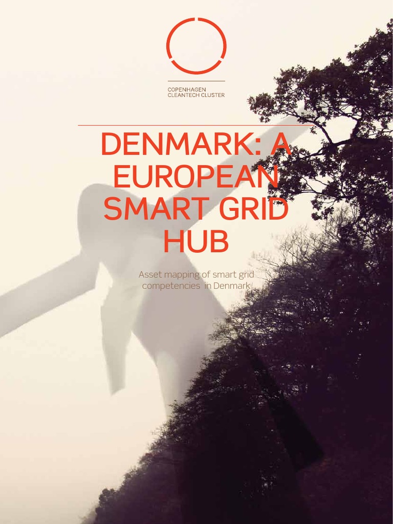 Smart Grid Rapport 2011 | PDF | Smart Grid | Electrical Grid