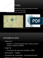2_Blastocystocis CORREGIDO.pdf