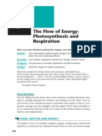 Biology - Photosynthesis