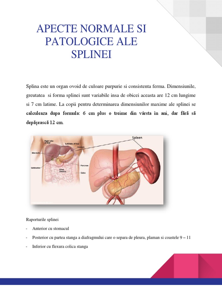 Splina | PDF