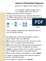 2.2.2 Cell Specialisation in Multicellular Organisms