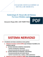 Sistema Nervioso - Médula Espinal - Resumen Clases - DR Rojas PDF