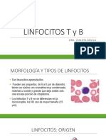 Clase 3 Linfocito B y T SEMANA 3