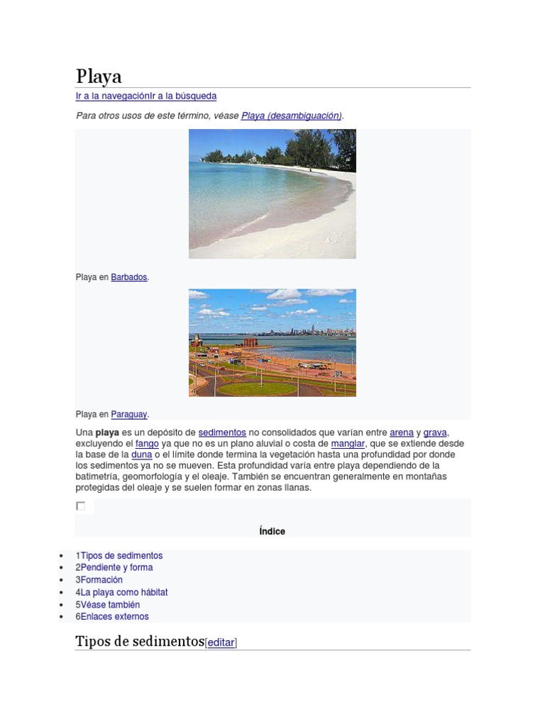 Playa | PDF | playa | Geografía costera