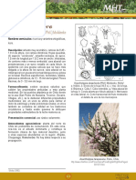 Descripcion de plantas altiplancas medicinales.pdf