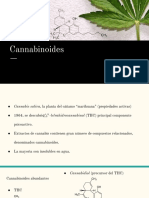 Cannabbinoides.pdf