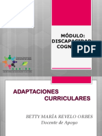 Adaptaciones Curriculares