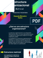 Ejemplos de Estructura Organizacional Relaciones Industriales