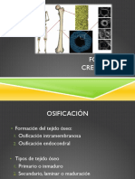 Crecimiento Oseo PDF