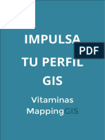 Impulsa Tu Perfil GIS - Vitaminas 