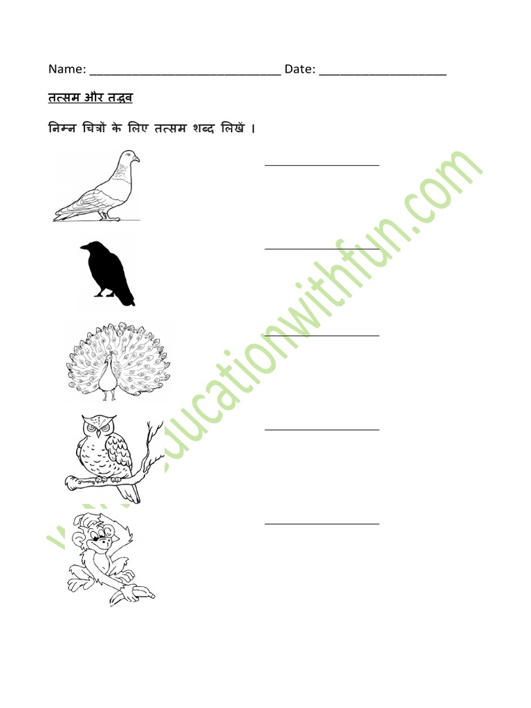 Hindi Worksheets Grade 1 | PDF