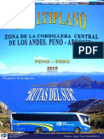 DIVERSIDAD EN LA ZONA DEL ALTIPLANO, CORDILLERA DE LOS ANDES CENTRAL 