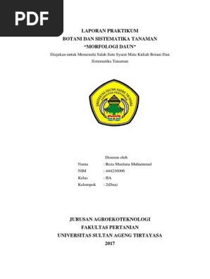 Laporan Praktikum Botani Morfologi Daun