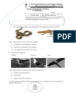 Ciencias Naturales 2basico Diagnostico