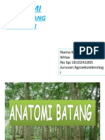 Anatomi Batang Al Ikhlas