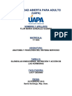 UAPA - Anatomia y Fisiologia Del Sistema Nervioso - Tarea 6