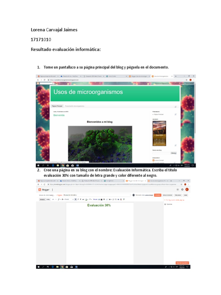 Lorena Carvajal Jaimes PDF