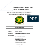 BIORREMEDIACION-FINAAL.docx