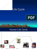 Life Cycle