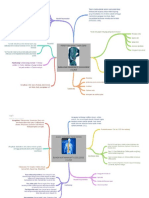 resume shock spinal dan cedera medula spinalis.docx