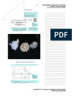 02b - Pachet NR 2 PDF