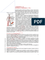 arteriografie.pdf