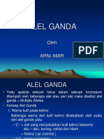 2. ALEL GANDA.ppt