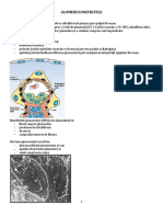 GLOMERULONEFRITELE