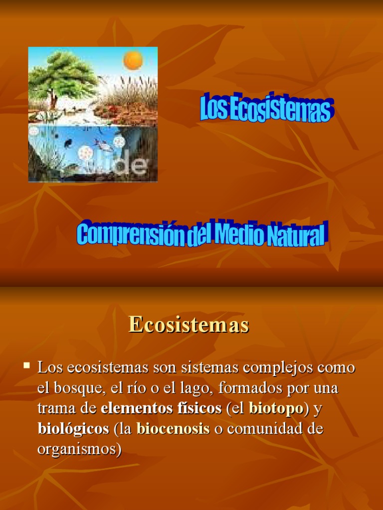 Ecosistemas Pdf Ecosistema Ecología