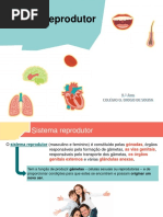 Transmissão Da Vida_1 