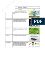 Yadira Lopez - Ecosystems Vocabulary