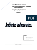 Ambientes Sedimentarios PDF