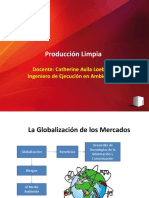 material de apoyo Producción limpia.pdf