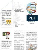 Triptico AS PDF