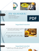Seguridad Industrial Luis Changoluisa