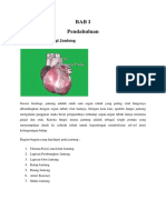 Anatomi Fisiologi Jantung PDF
